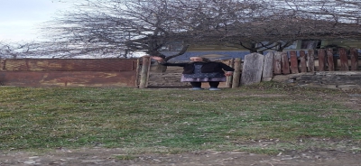 Klik hier om het gehele fotoalbum te bekijken